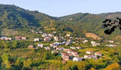 Hırsızlar, Alaplı’da boş evlere dadandı