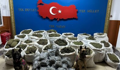 Genç ilçesinde uyuşturucu operasyonu