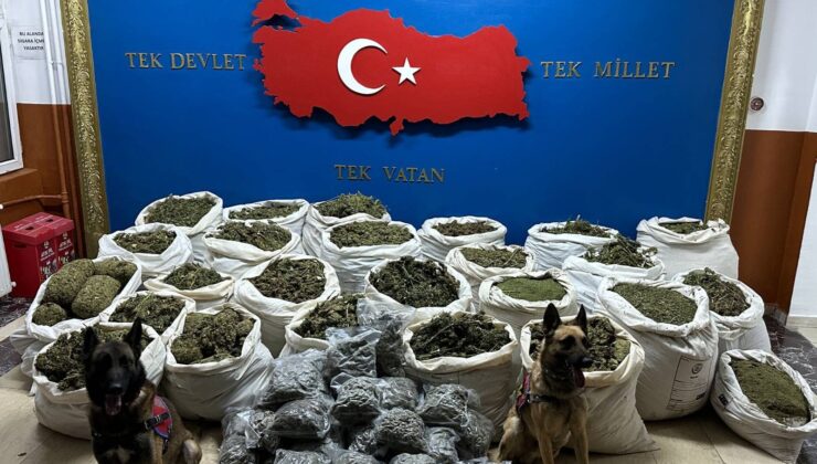 Genç ilçesinde uyuşturucu operasyonu