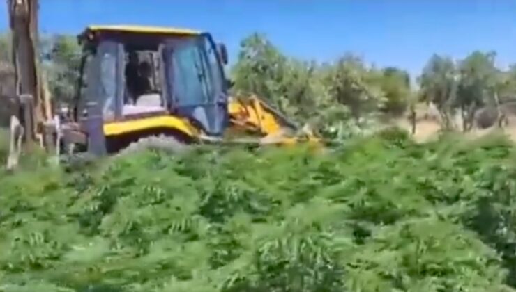 Bakan Yerlikaya: Lice’de 11 milyar TL yasa dışı gelir elde edilmesi  engellendi