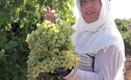 Karaciğer nakli yapılan kadın evinde ölü bulundu