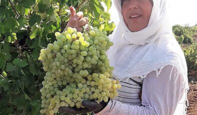 Karaciğer nakli yapılan kadın evinde ölü bulundu