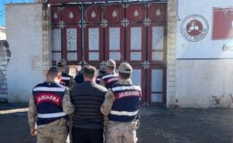 Midyat’ta hayvan hırsızlarına darbe