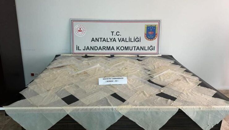 Piyasa değeri 2 milyon TL olan bonzai ele geçirildi