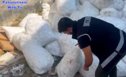 Dev Makaron Kaçakçılığı Operasyonu: 30 Milyon 80 Bin Makaron Ele Geçirildi