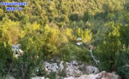 Otomobil vadiye yuvarlandı: Sürücü hayatını kaybetti