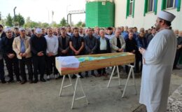 Yaşlı adam arı sokması sonucu hayatını kaybetti