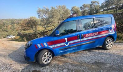 Zeytinyağı hırsızı jandarmadan kaçamadı