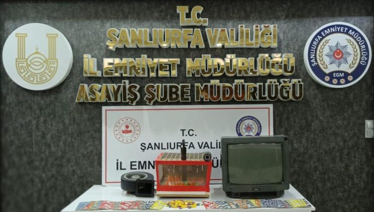 Şanlıurfa’da mühürlü iş yerinde kumar baskını