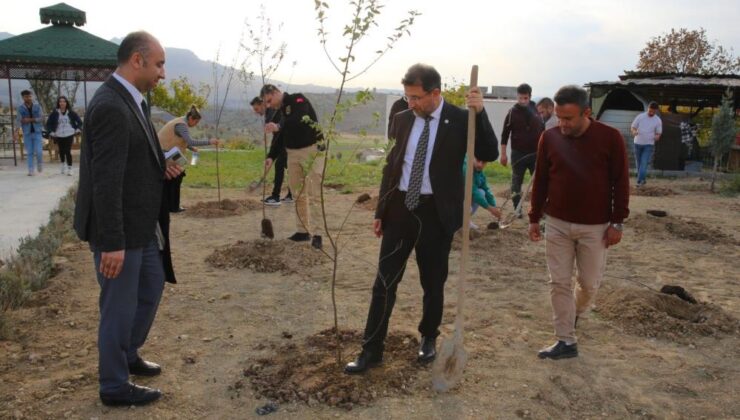 Şırnak Üniversitesi’nde bin adet fidan toprakla buluşturuldu