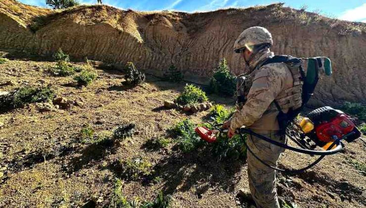 2023’te Diyarbakır’da 102 milyon kenevir, 47 ton esrar ele geçirildi