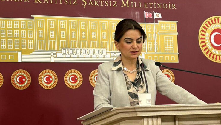 DEM Parti: Başak Demirtaş en güçlü adaylarımızdan biri!