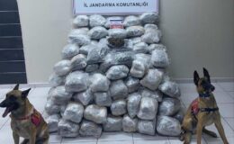 Elazığ’da 138 kilo skunk ele geçirildi