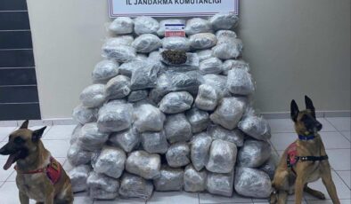 Elazığ’da 138 kilo skunk ele geçirildi