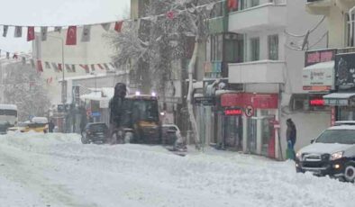 Ardahan’da kar 207 köy yolunu kapattı