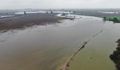 Asi nehri taştı: tarlalar sular altında