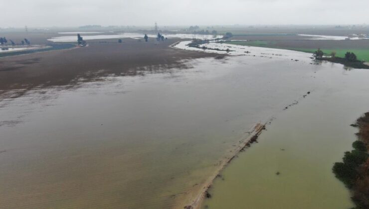 Asi nehri taştı: tarlalar sular altında