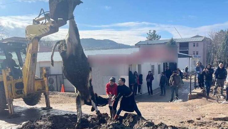 Banka müdürünün tayini çıktı diye sevinçte tosun kestiler