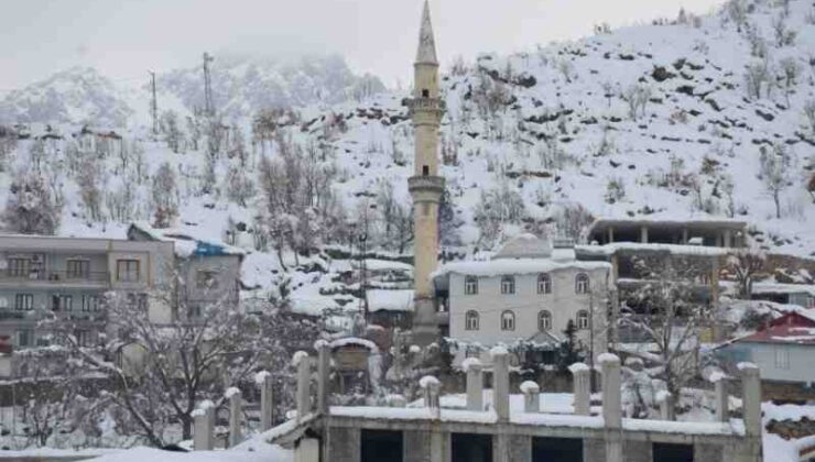 Beytüşşebap’ta kar, ağaçları yere serdi