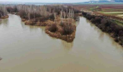 Dicle nehrinde tehlike alarmı: Kirlilik artıyor