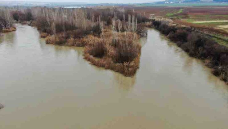 Dicle nehrinde tehlike alarmı: Kirlilik artıyor