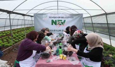 Diyarbakır’da kadınlara teraryum eğitimi