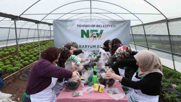 Diyarbakır’da kadınlara teraryum eğitimi