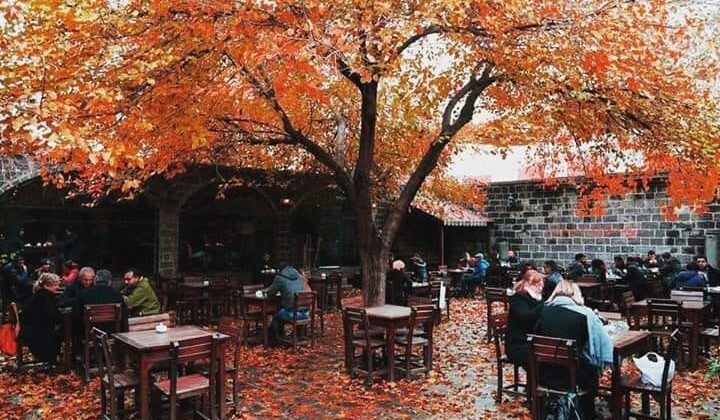 Diyarbakır’ın Tarih Kokan Sokakları: Sülüklü Han’ın Gizemli Hikayesi