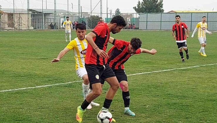 Diyarbakır takımları BAL’da aynı grupta