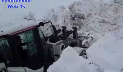 Doğu’da kar engeli: 50 yerleşim yolu kapalı