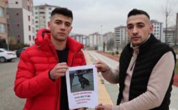 Elazığ’da kayıp köpek aranıyor: bulup getirene para ödülü