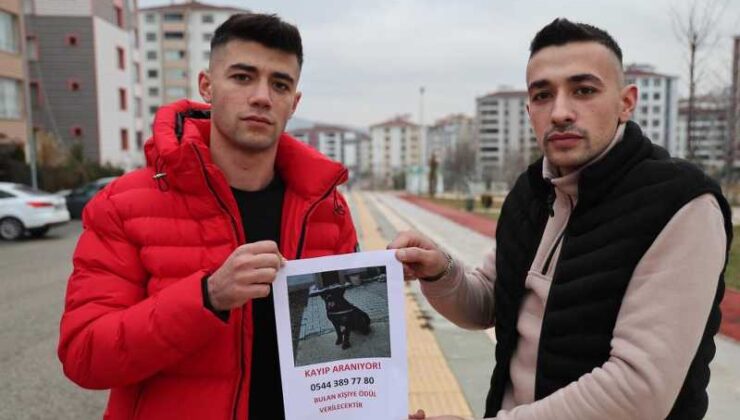 Elazığ’da kayıp köpek aranıyor: bulup getirene para ödülü