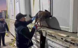 Elazığ’da bir tırda146 kilo uyuşturucu ele geçirildi