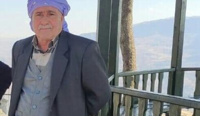 Ergani’de kaza: yaşam mücadelesini kaybetti