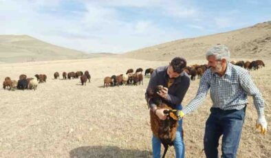 Erzurum’da kırsal kalkınma atağı