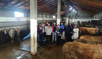 Erzurum’da köy hayatı tecrübesi