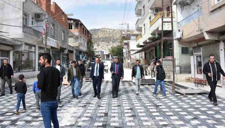 Hani’nin yıldızı parlıyor: 50 proje