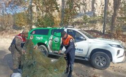 Kaçak avcıya yüksek ceza