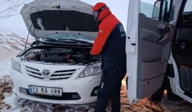 Kar fırtınasında kayıp bellek arayışı