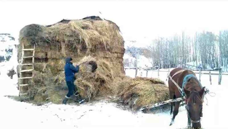 Karlıova’da besicilerin karla imtihanı