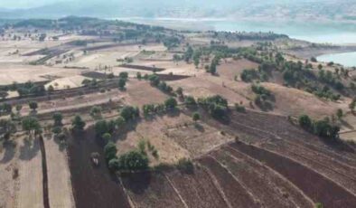 Köyüne döndü, 5 bin dönüm araziyi tarıma kazandırdı