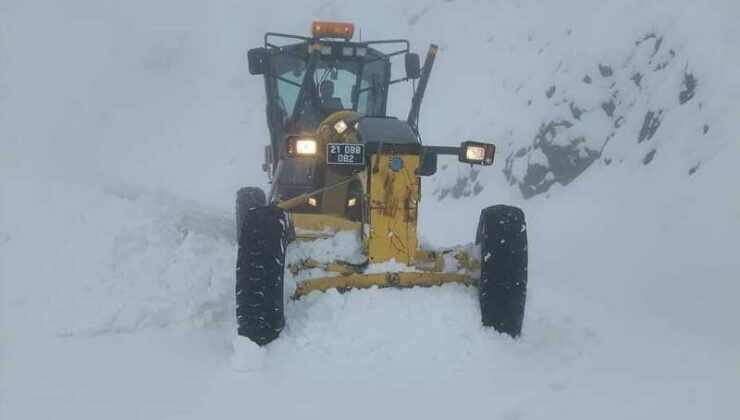 Kulp’ta kapanan köy yolları açıldı