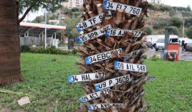 Plakaları süsleyen ağaç: Dilek değil gerçek