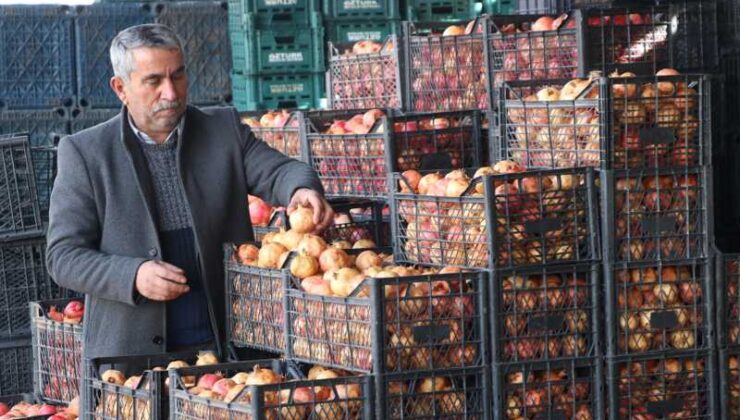Siirt’in zivzik narı raflarda