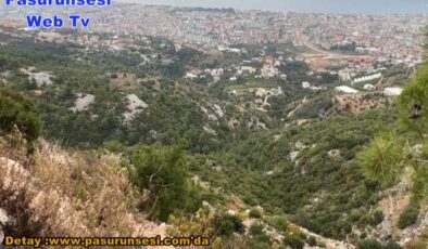 Tartışma sonrası uçuruma düşen araç