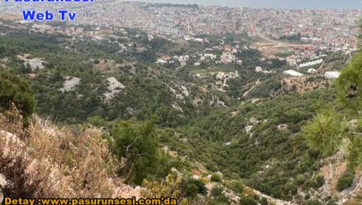 Tartışma sonrası uçuruma düşen araç