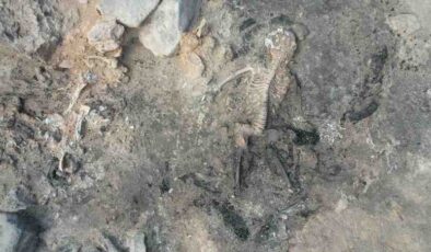 Tavşanlı Höyük’te tarihi keşif