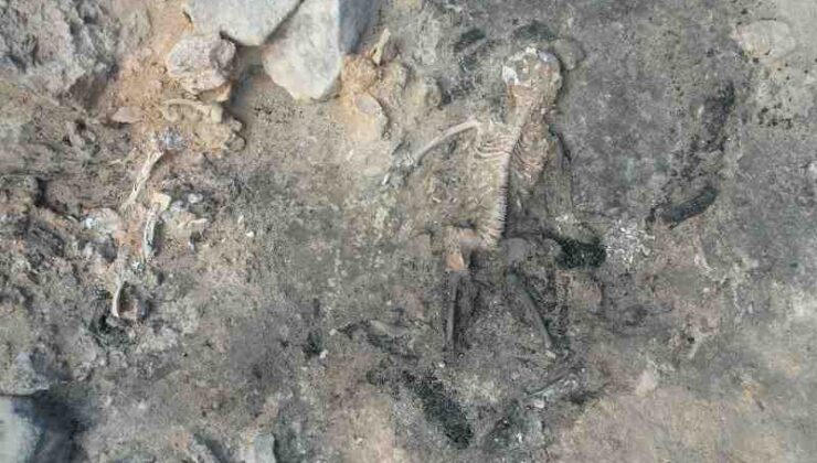Tavşanlı Höyük’te tarihi keşif