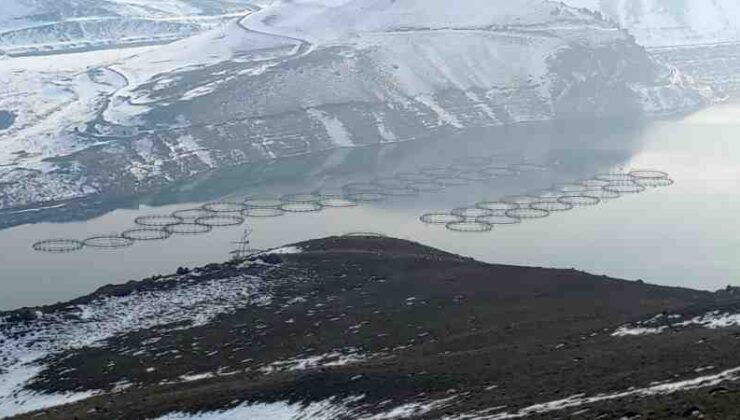Van Gölü’nde kuraklık alarmı