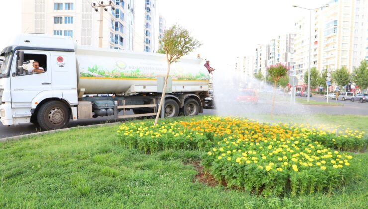 Aşırı sıcaklarda yeşil alanları koruma çalışmaları sürüyor